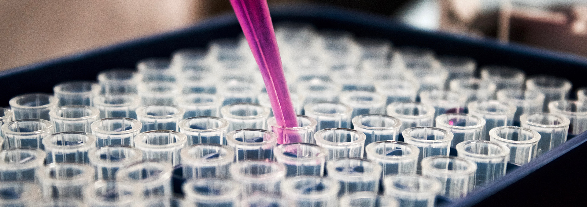 Inspection & Technology for Technical Consultations & Laboratories
